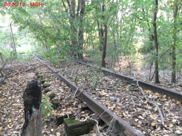 Carbon Sales, Miners Mills, Summer 2012