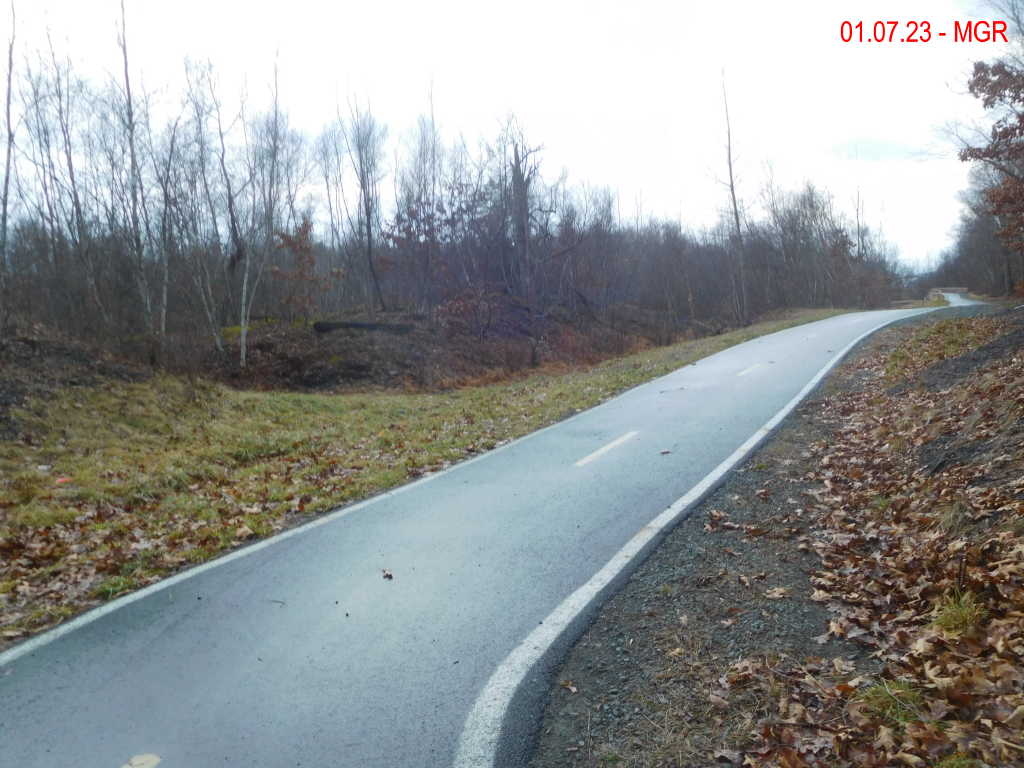 New Trail, Dickson City 