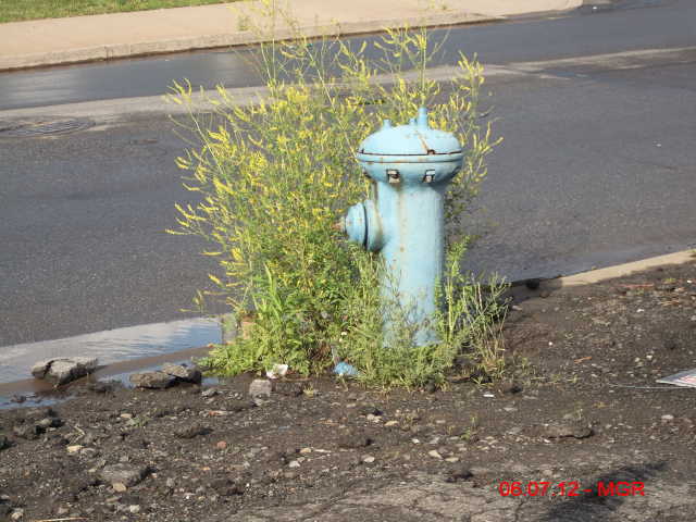 Old Fire Hydrant, Scranton