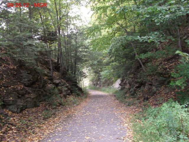 bmrt2012_05.jpg