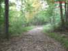 bmrt2012_15_small.jpg