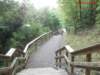 bmrt2012_17_small.jpg