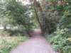 bmrt2012_19_small.jpg
