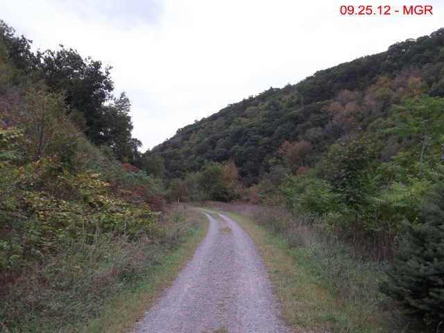 bmrt2012_27.jpg