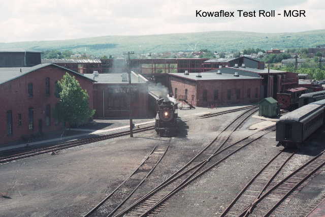 Kowaflex Test Roll
