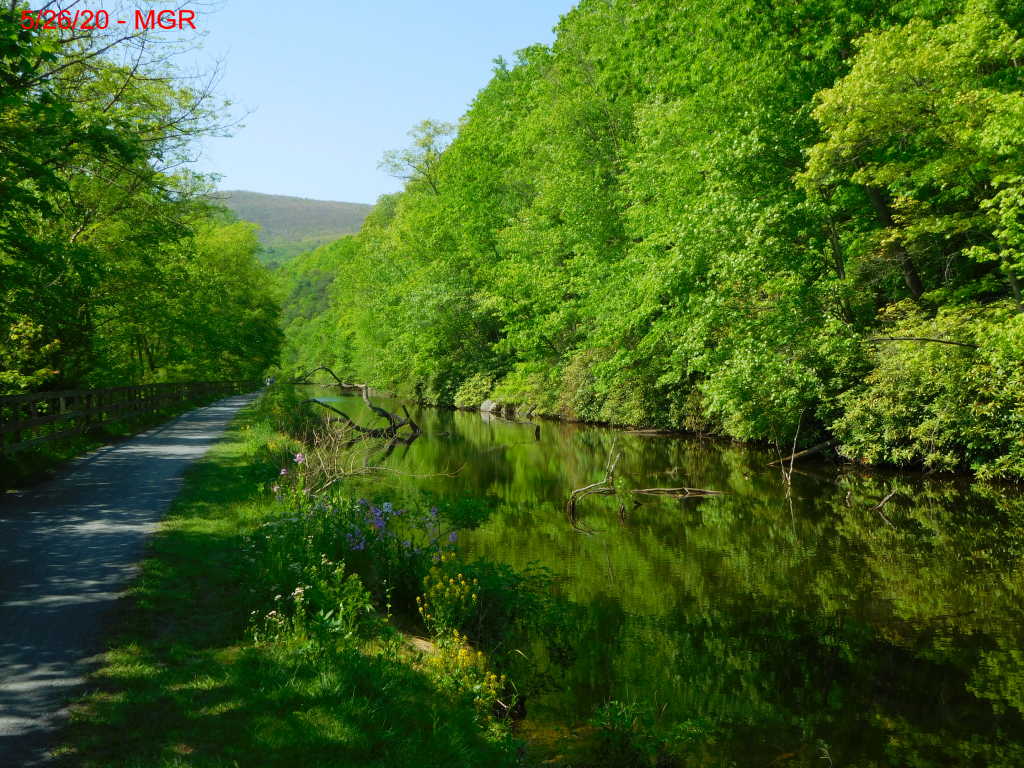 Weissport Park and Canal / DL Trail