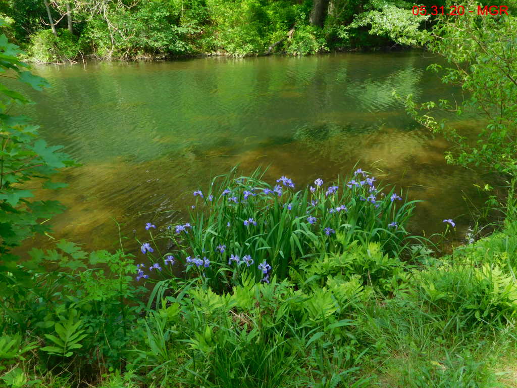 Canal / DL Trail from Weissport toward  Bowmanstown
