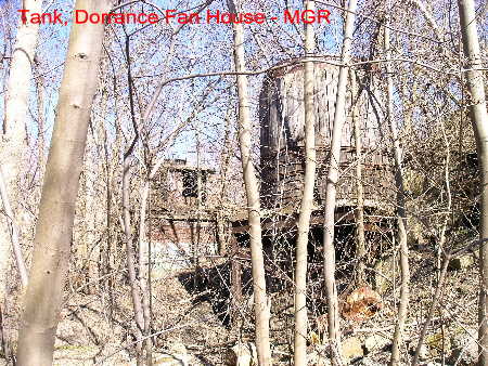 Dorrance Fan House Tank