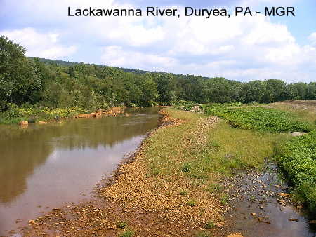 Lackawanna River, Duryea, PA