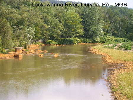 Lackawanna River, Duryea, PA