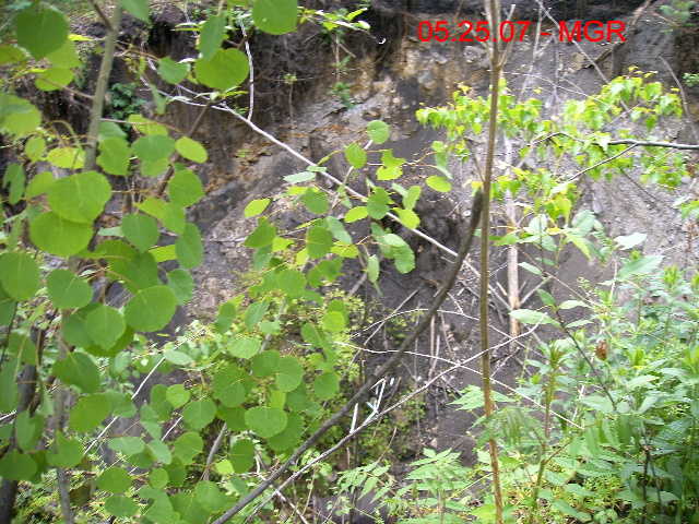 Mine Subsidence By Hudson Yard