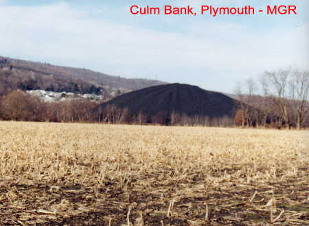 Plymouth Culm Bank