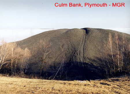 Plymouth Culm Bank