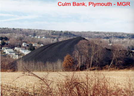 Plymouth Culm Bank