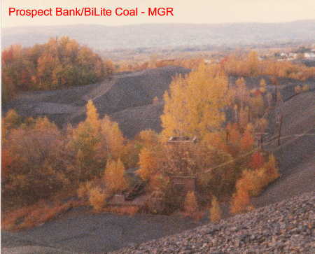 Prospect Bank / BiLite Coal