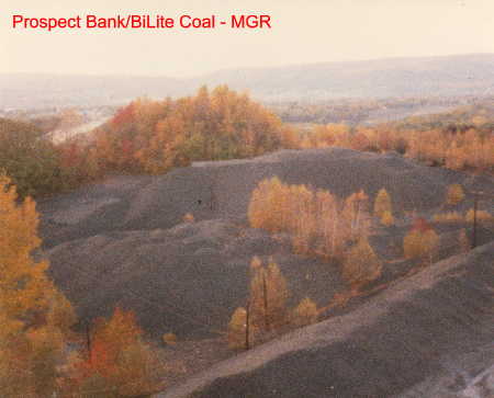 Prospect Bank / BiLite Coal