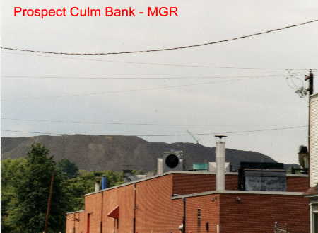 Prospect Culm Bank, Parsons