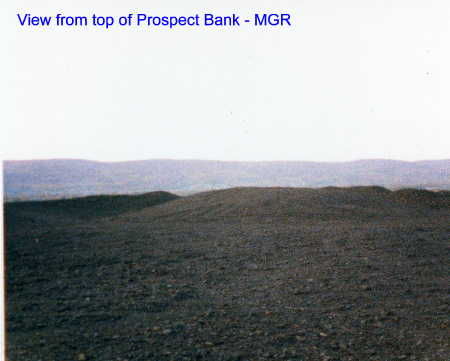 View from top of Prospect Bank