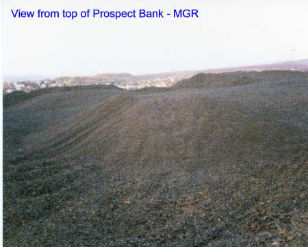 View from top of Prospect Bank