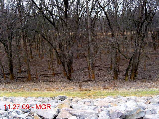 Yellow Boy, Hanover Twp.