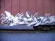 gb1_12_small.jpg