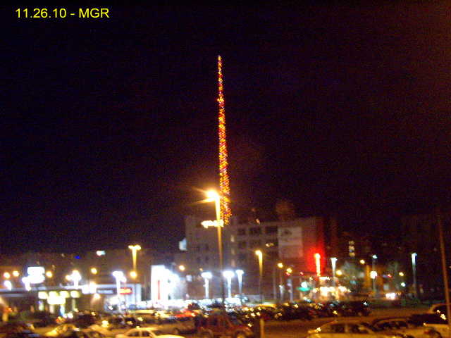 Biggest Christmas Tree 2010