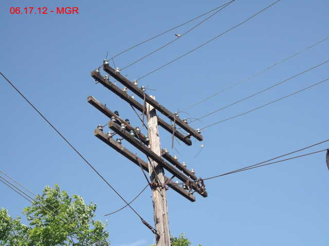Pole By Polish Club, Hudson, near Former Hudson Yard