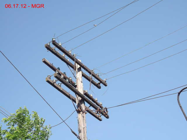 Pole By Polish Club, Hudson, near Former Hudson Yard