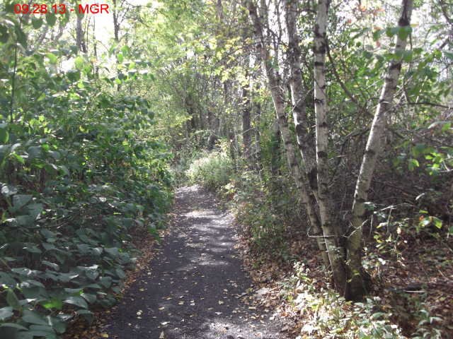 oaktrail01.jpg