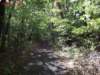 oaktrail02_small.jpg