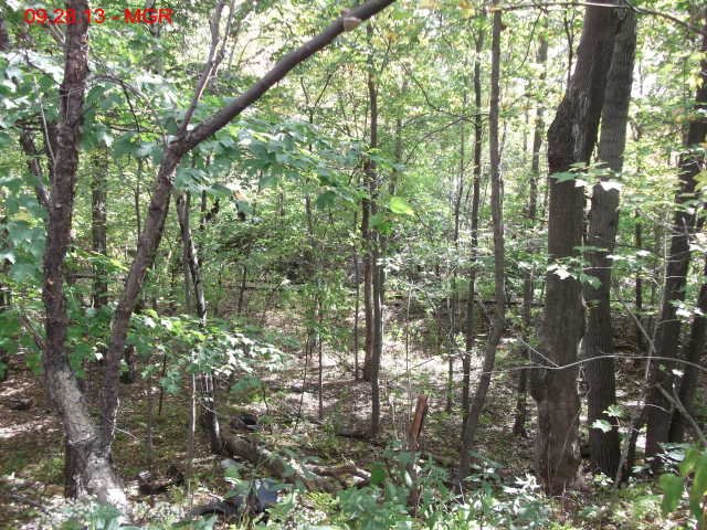 oaktrail03.jpg