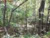 oaktrail03_small.jpg