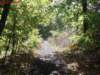oaktrail05_small.jpg