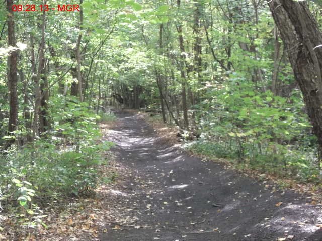 oaktrail06.jpg