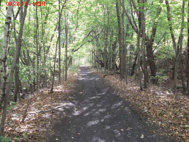 oaktrail08.jpg