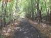 oaktrail08_small.jpg