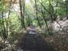 oaktrail09_small.jpg