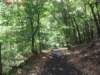 oaktrail11_small.jpg