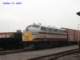 rf13_01_small.jpg