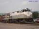 rf13_29_small.jpg