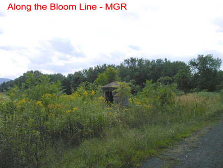 Along The Bloom Line 