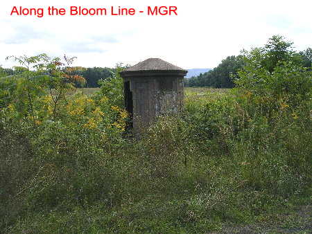 Along The Bloom Line 
