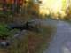 bmrt08_04_small.jpg