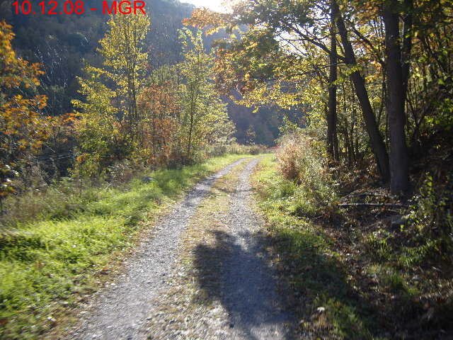 bmrt08_05.jpg