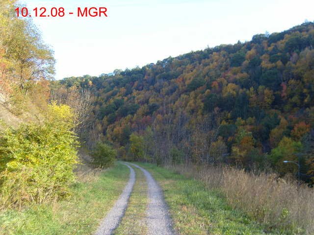 bmrt08_11.jpg