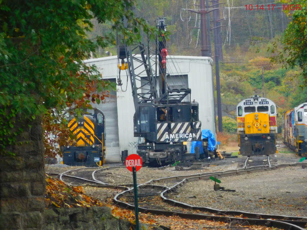 Looking Into DL's Yard