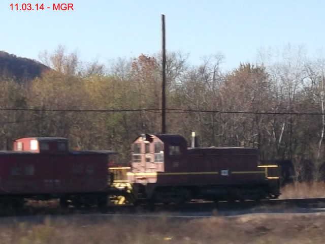 LV Painted Switcher