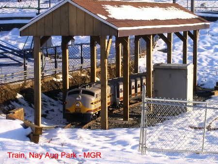  Nay Aug Park Train in the Snow, Scranton, PA 