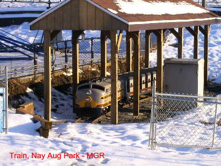  Nay Aug Park Train in the Snow, Scranton, PA 