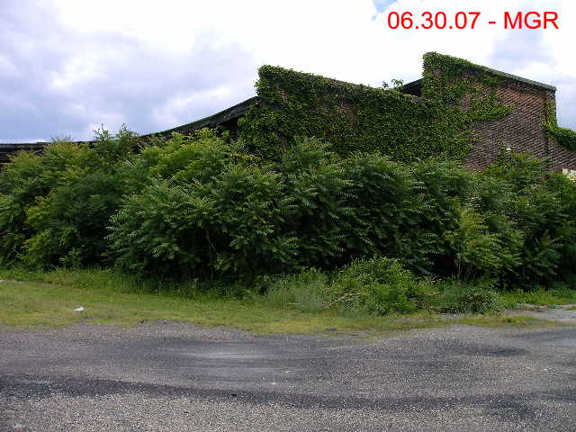Roundhouse or Forest ???